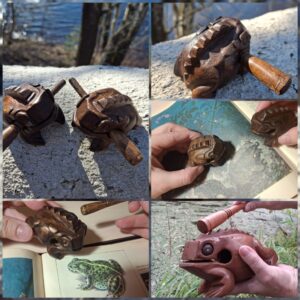 Лягушка гуиро